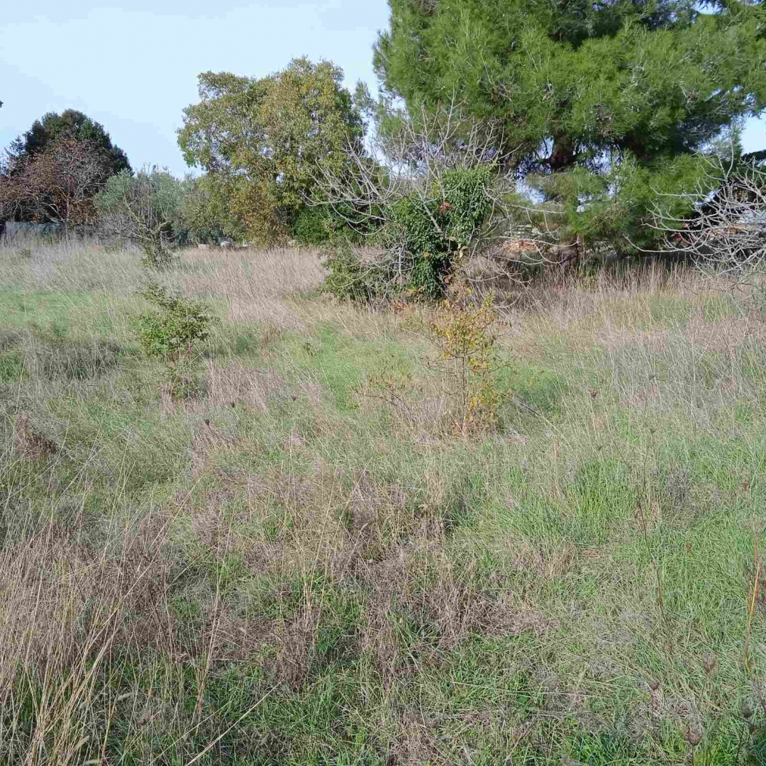 Valbandon, Fažana, 108m2