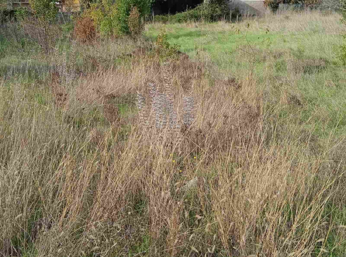 Valbandon, Fažana, 108m2