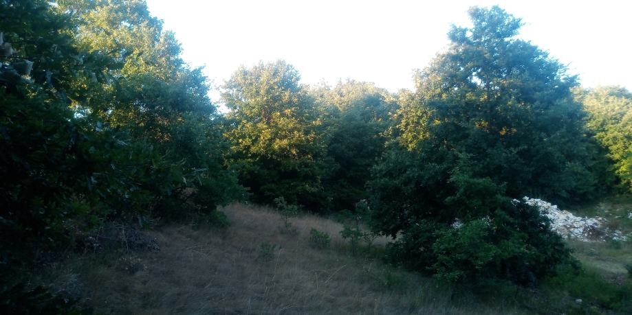 Svetvinčenat, 27.000m2