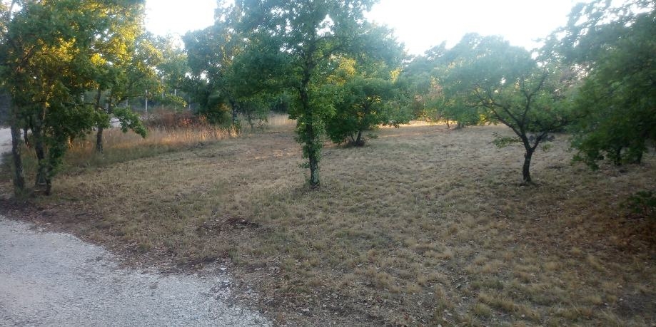 Svetvinčenat, 27.000m2