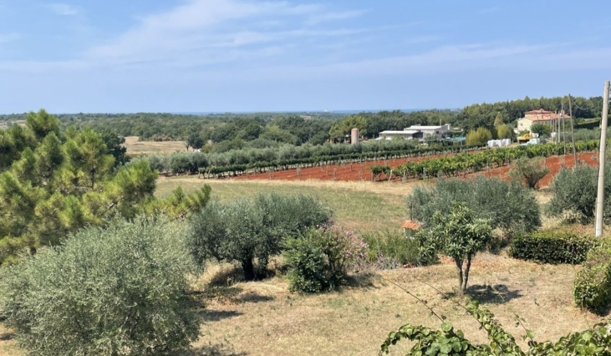 Savudrija, Umag, 150m2