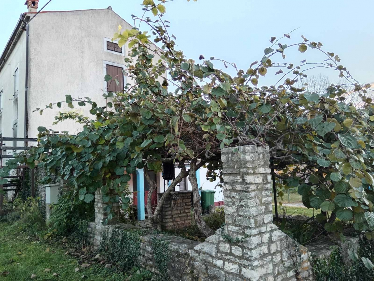 Savudrija, Umag, 150m2