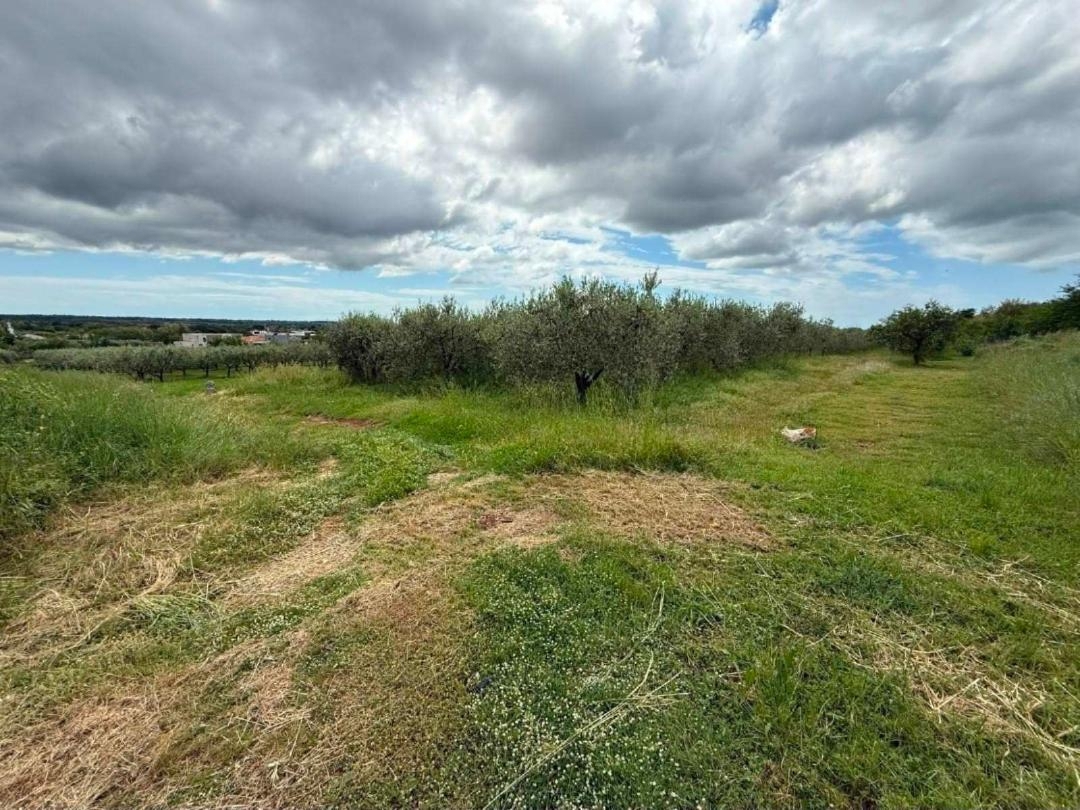 Kaštelir, Kaštelir-Labinci, 750m2