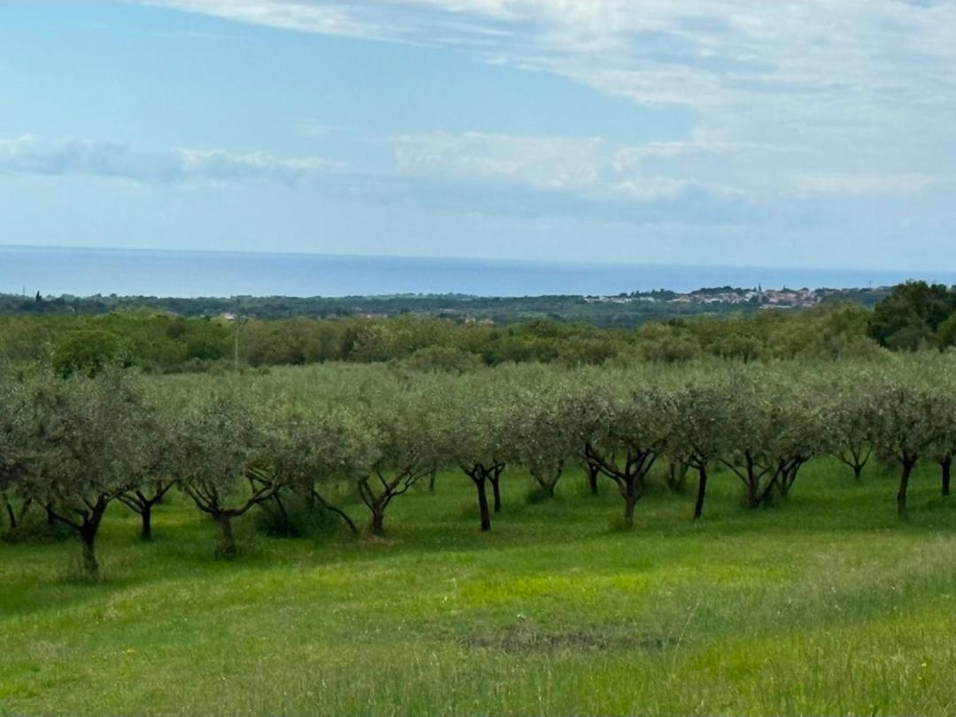 Kaštelir, Kaštelir-Labinci, 750m2