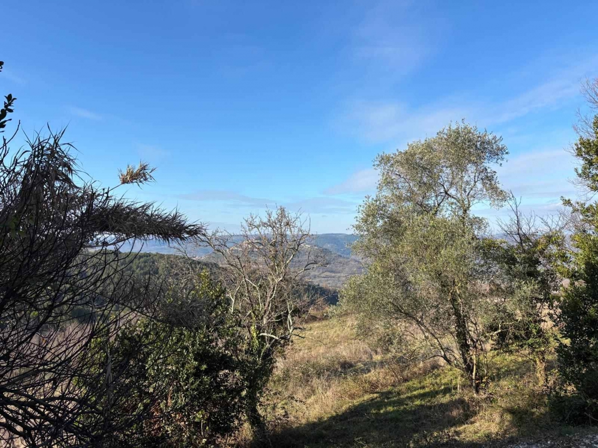 Motovun, 70m2