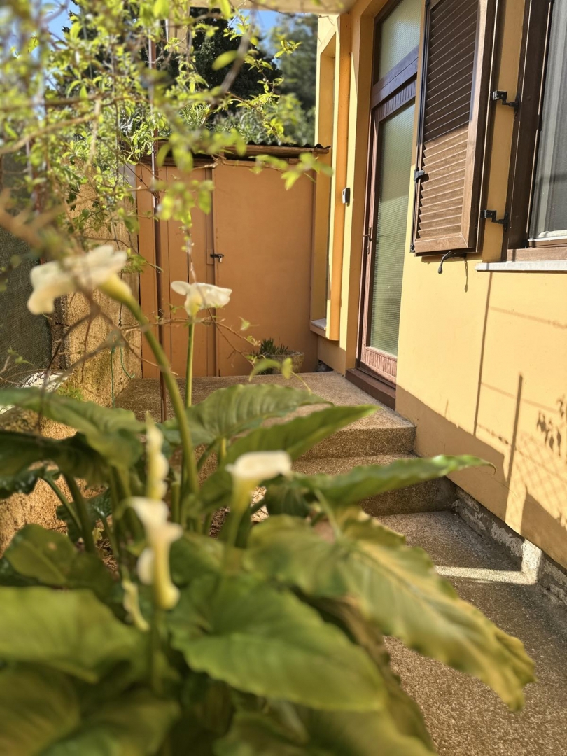 Premantura, Medulin, 150m2