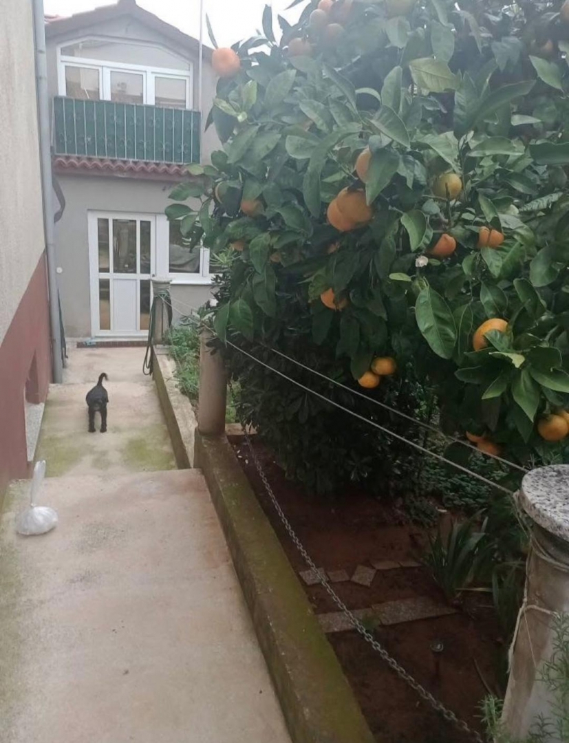 Veli vrh, Pula, 90m2