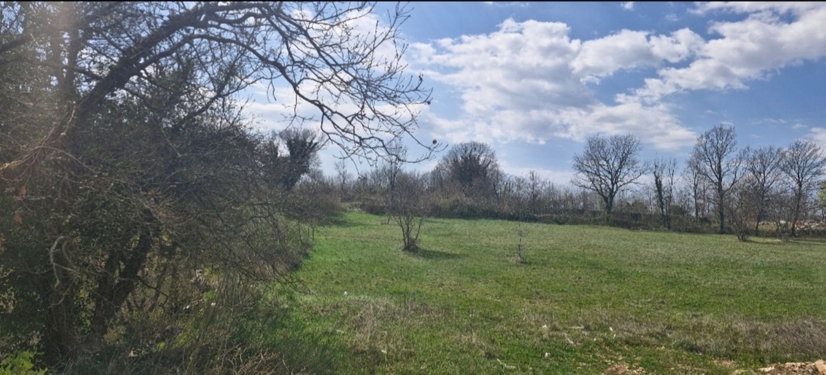 Svetvinčenat, 526m2