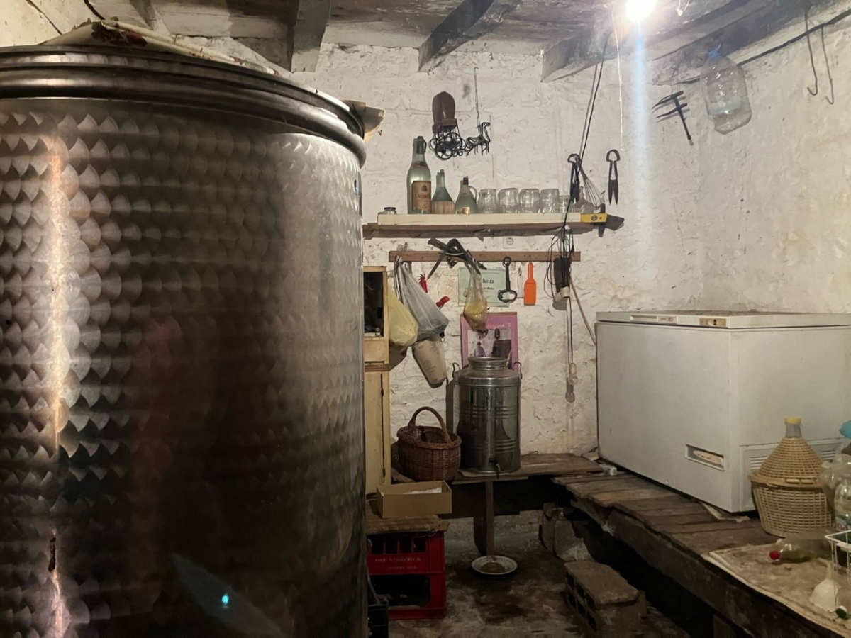 Sveti Lovreč, 285m2