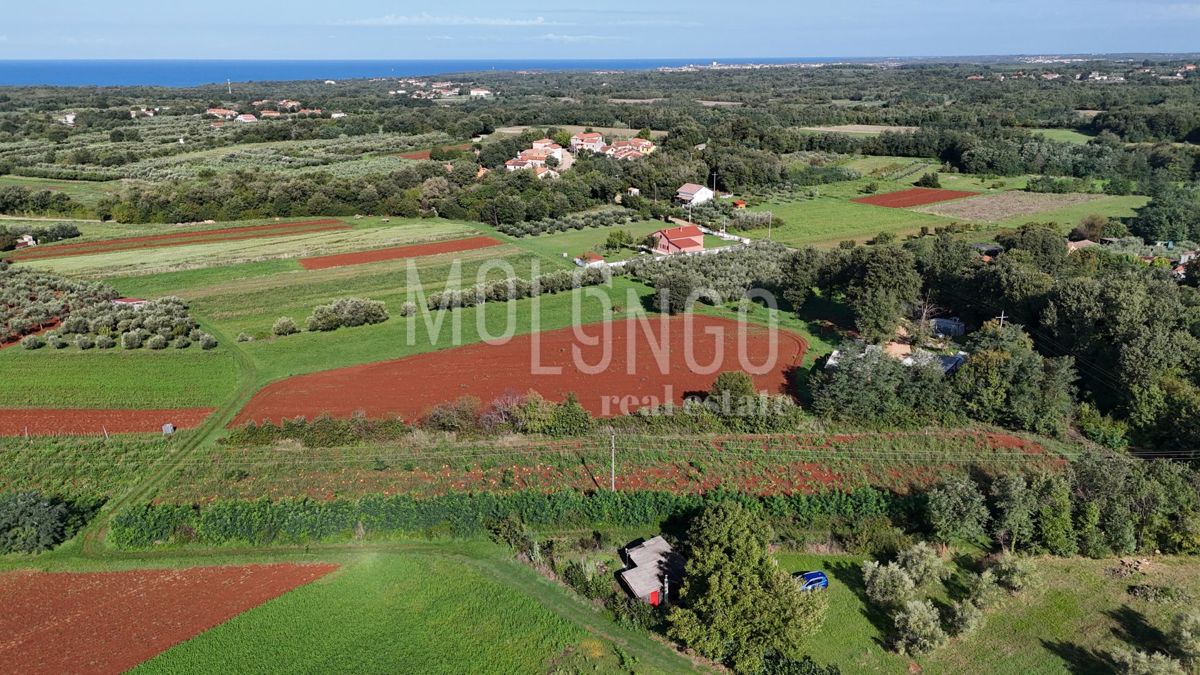 Zemljišče Lovrečica, Umag, 1.976m2