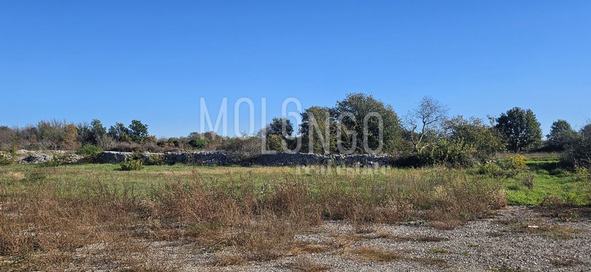 Zemljišče Vodnjan, 514m2