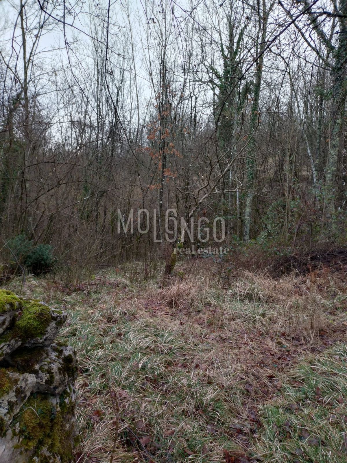 Zemljišče Veli Brgud, Matulji, 2.073m2