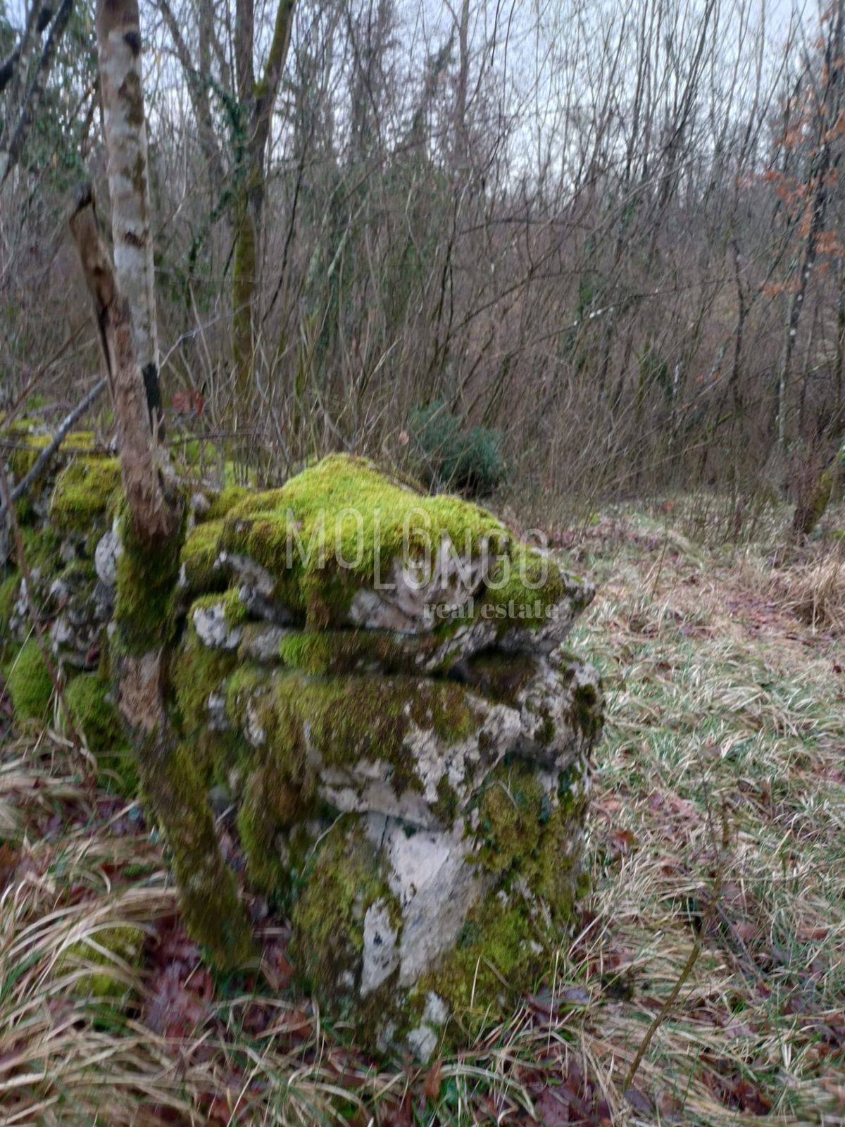 Zemljišče Veli Brgud, Matulji, 2.073m2