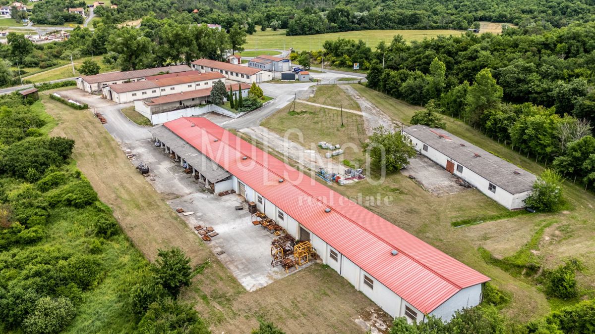 Zemljišče Buzet, 21.000m2