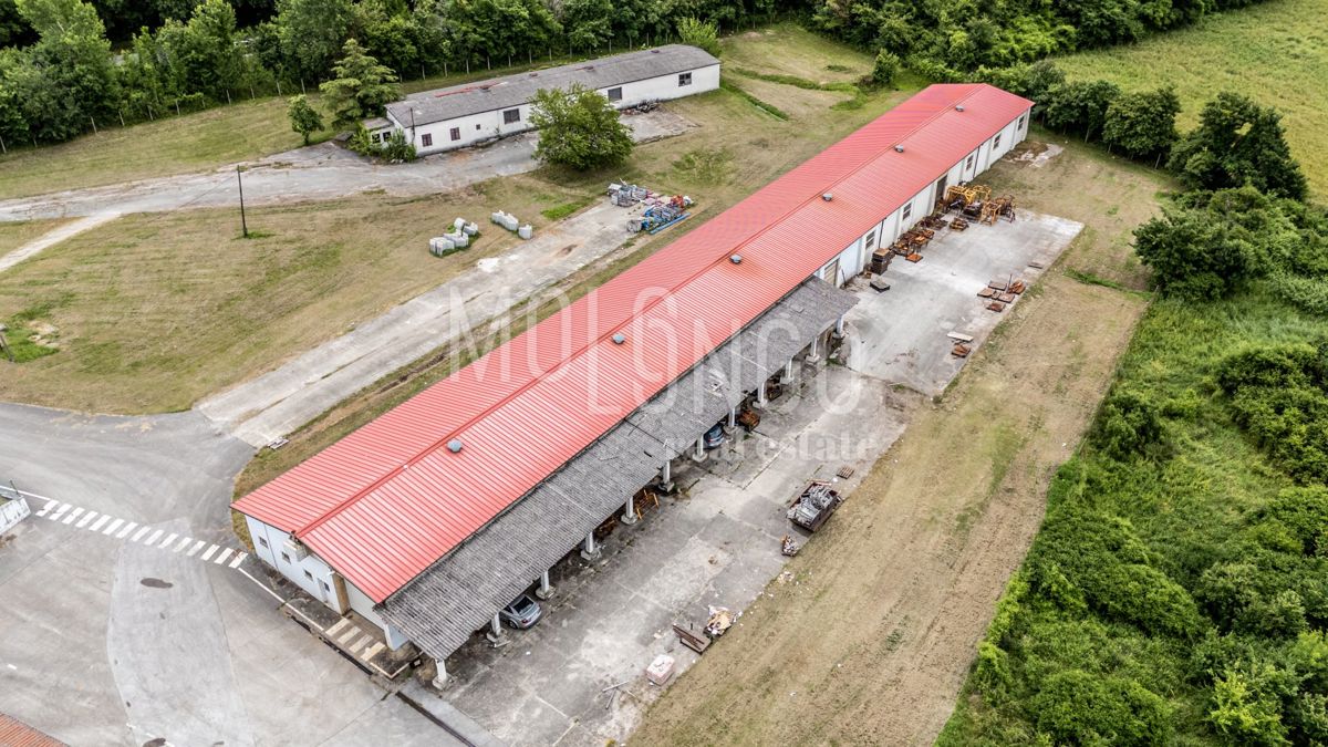 Zemljišče Buzet, 21.000m2