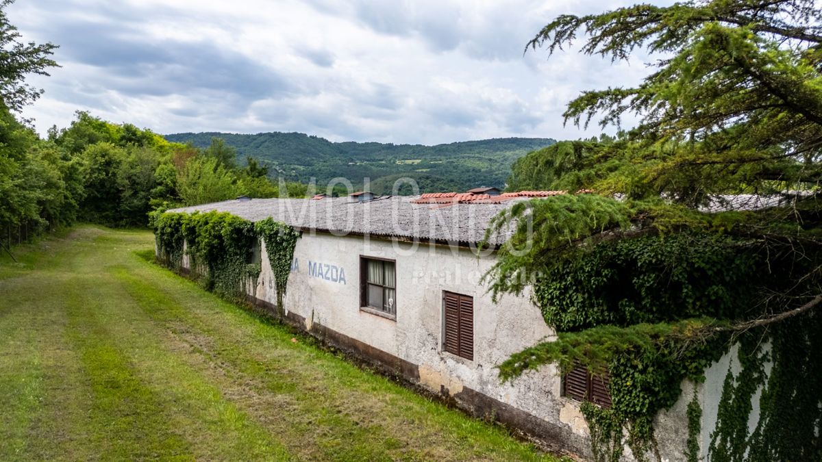 Zemljišče Buzet, 21.000m2