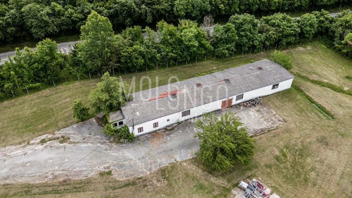 Zemljišče Buzet, 21.000m2