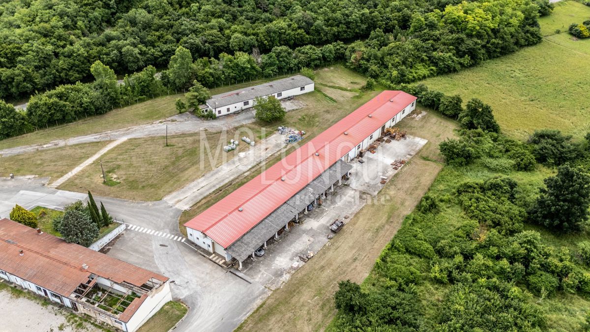 Zemljišče Buzet, 21.000m2