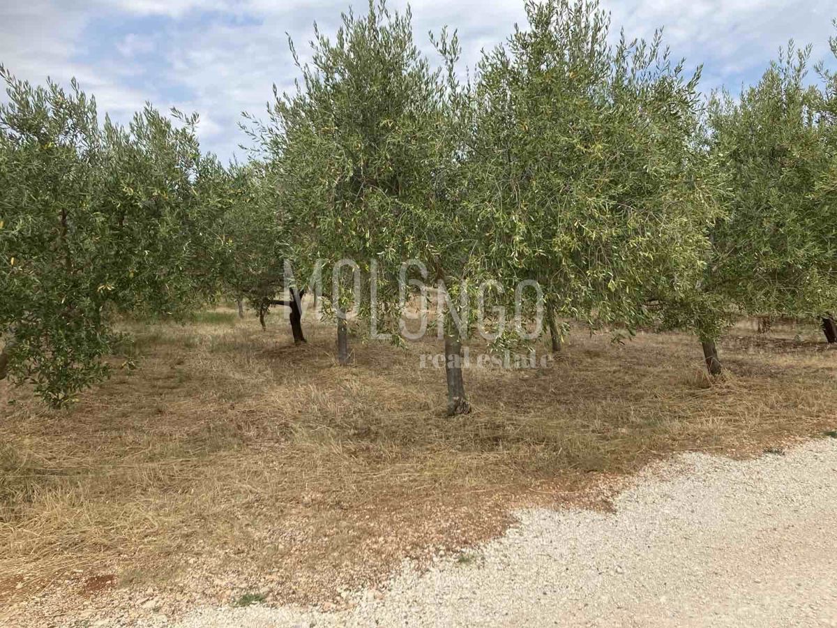 Zemljišče Kaštelir, Kaštelir-Labinci, 1.277m2