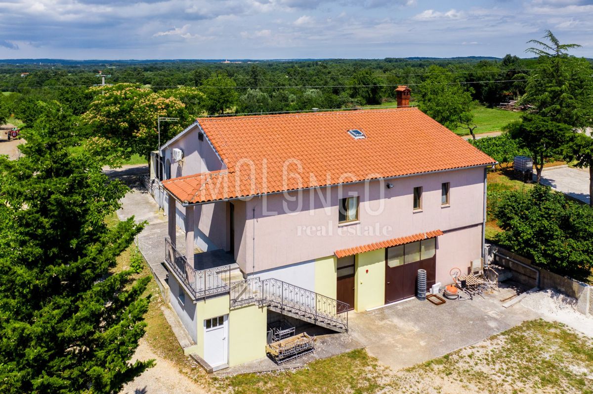 Hiša Križanci, Žminj, 630m2