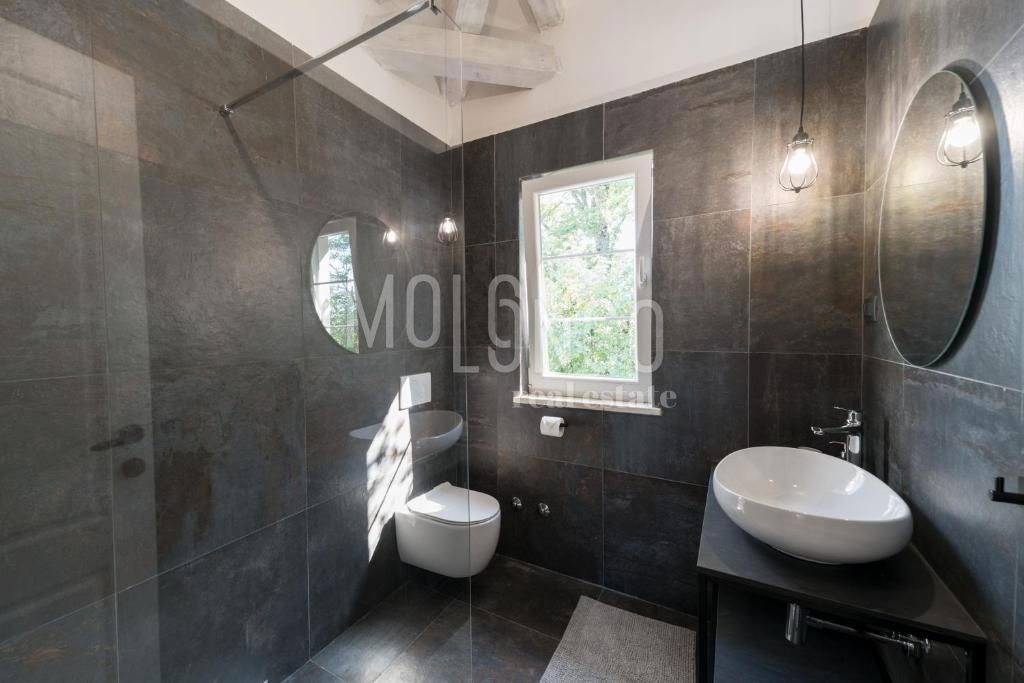 Hiša Vižinada, 253m2