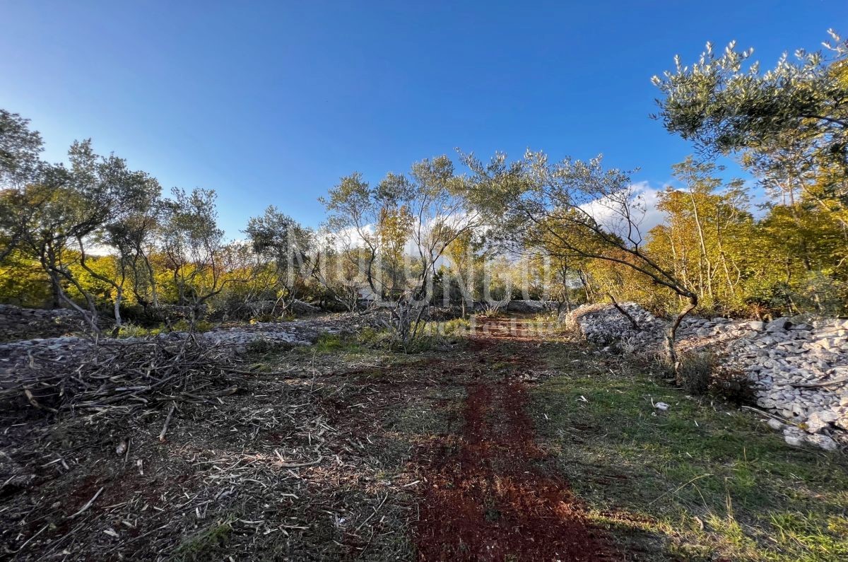 Zemljišče Vrbnik, 484m2