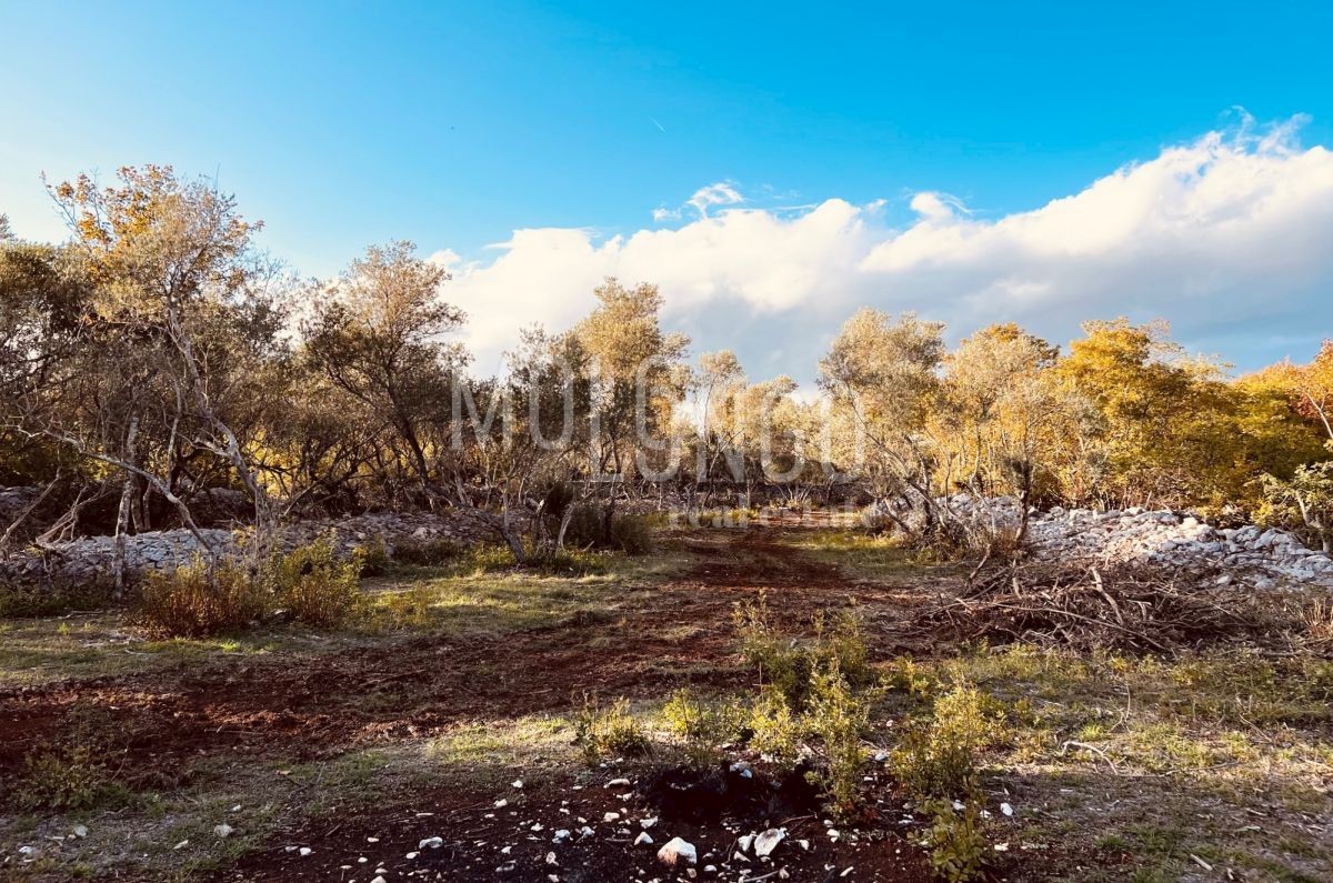 Zemljišče Vrbnik, 484m2