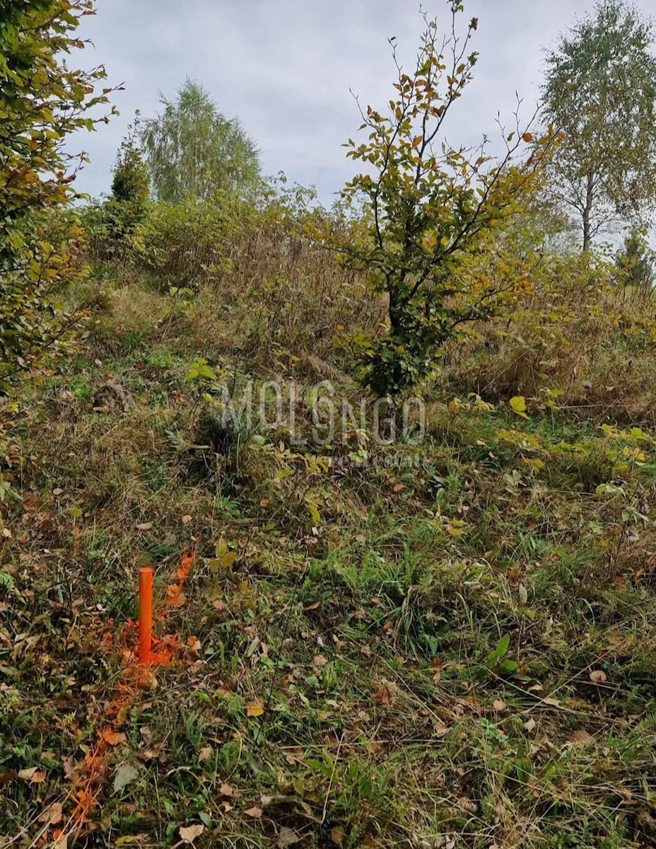 Zemljišče Zelin Mrzlovodički, Lokve, 983m2