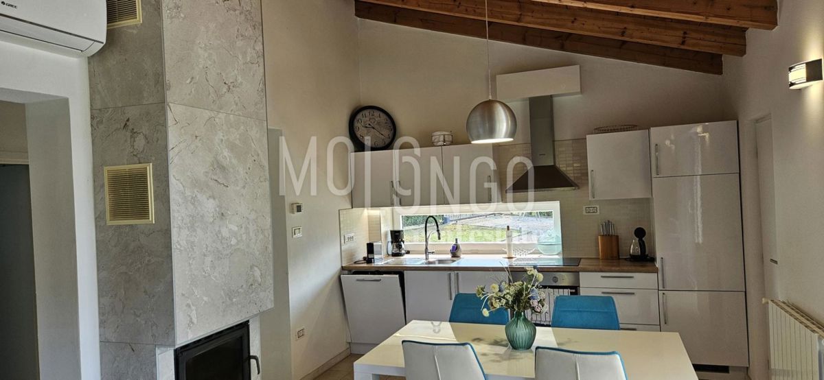 ISTRIA, SV. PETAR U ŠUMI — Vila z bazenom v naravi