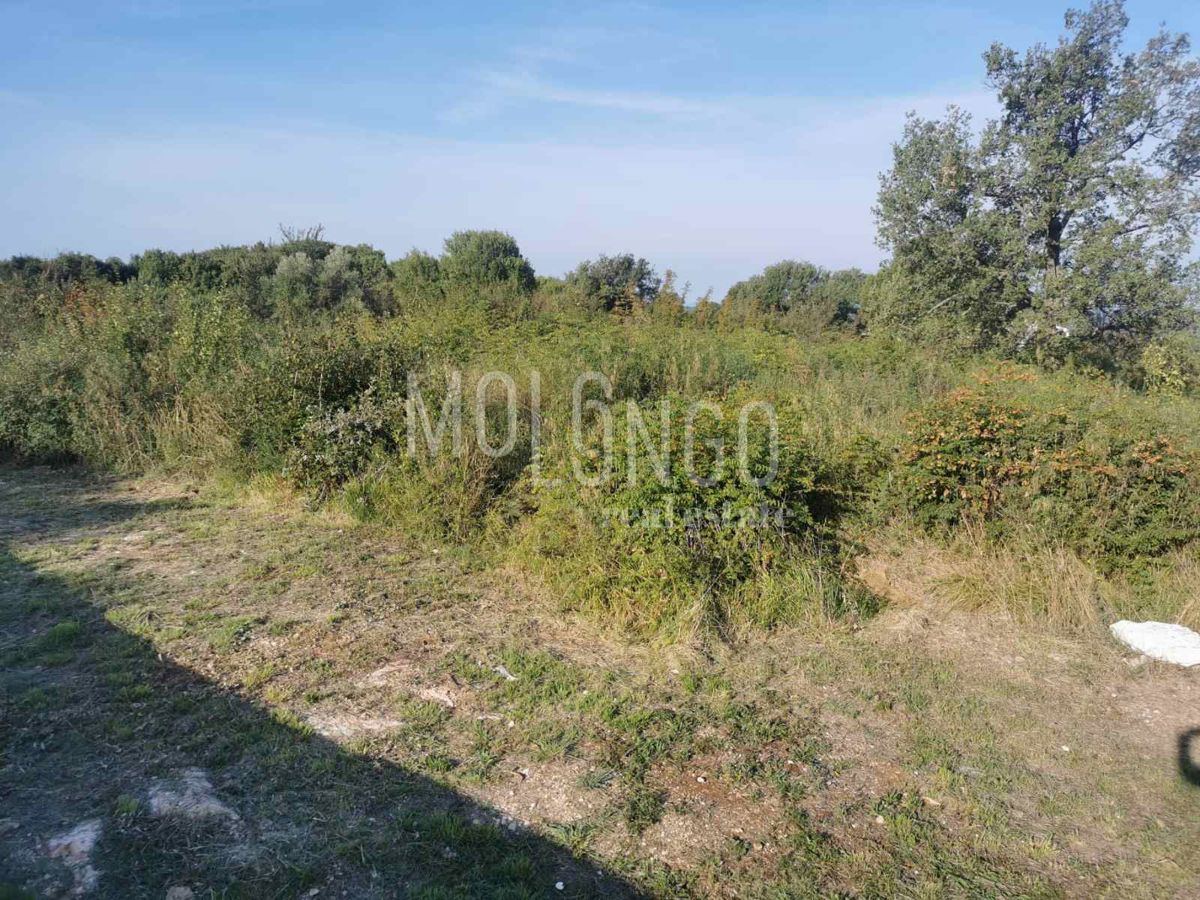 Zemljišče Jural, Kanfanar, 1.458m2