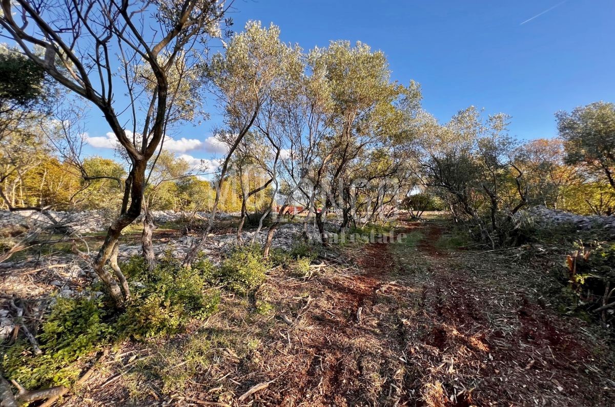 Zemljišče Vrbnik, 484m2