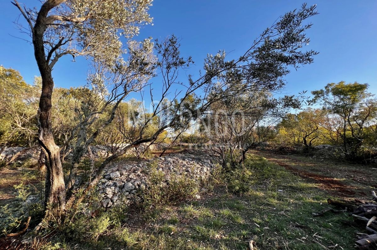Zemljišče Vrbnik, 484m2