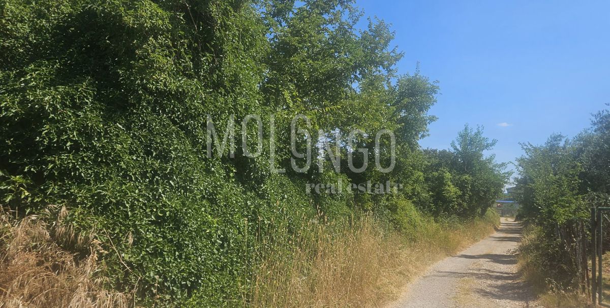 ISTRA, VODNJAN – Gradbeno zemljišče za stanovanjsko rabo!