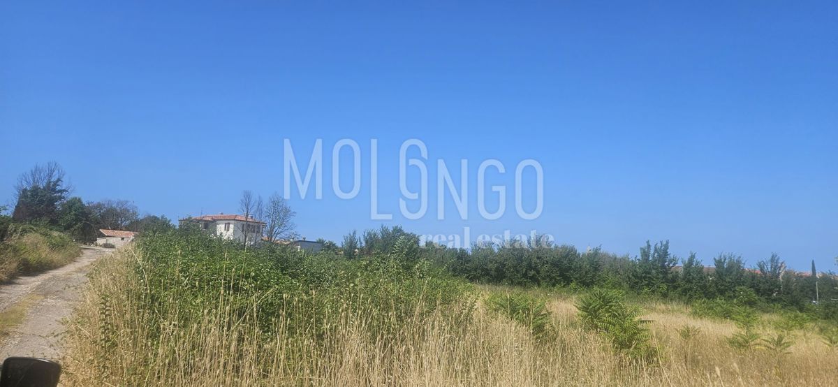 ISTRA, VODNJAN – Gradbeno zemljišče za stanovanjsko rabo!