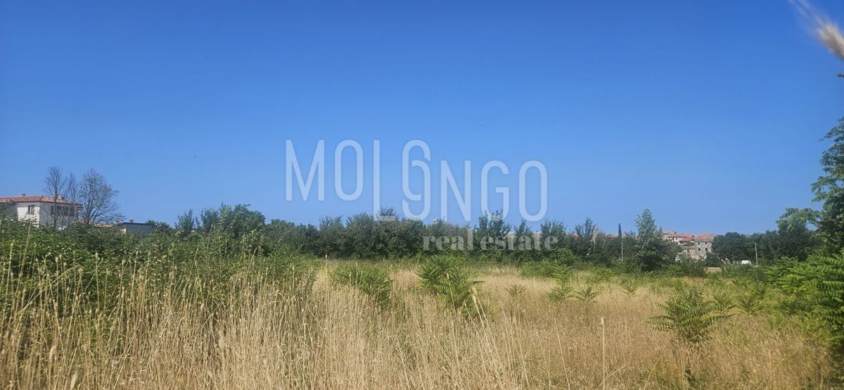ISTRA, VODNJAN – Gradbeno zemljišče za stanovanjsko rabo!