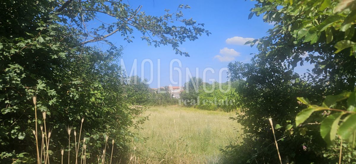 ISTRA, VODNJAN – Gradbeno zemljišče za stanovanjsko rabo!