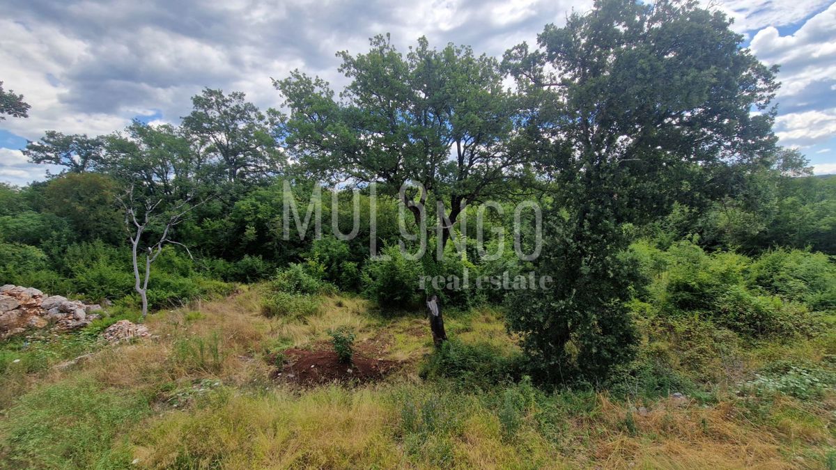 Stanovanje/apartma Njivice, Omišalj, 112m2