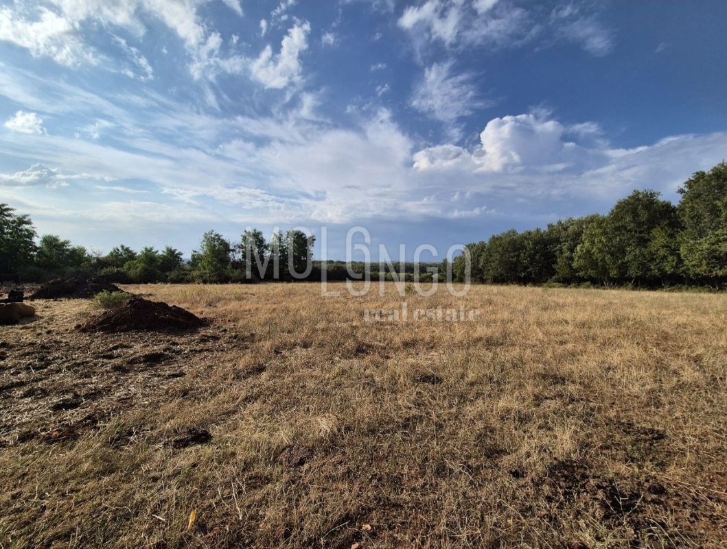 Zemljišče Cerjani, Kaštelir-Labinci, 24.118m2