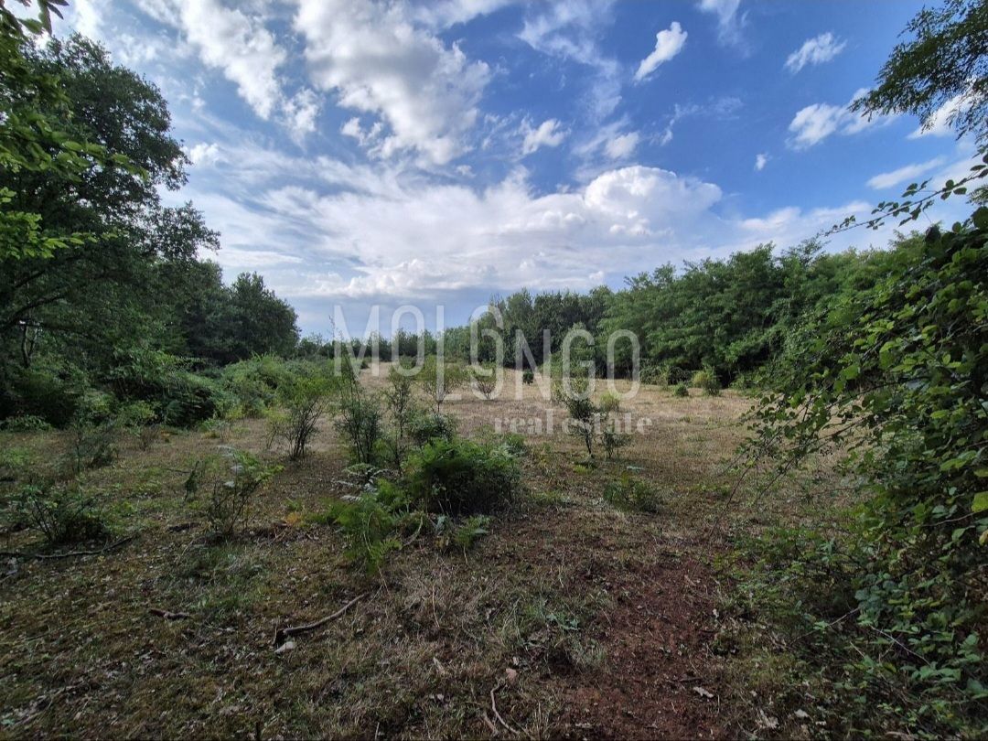 Zemljišče Cerjani, Kaštelir-Labinci, 24.118m2