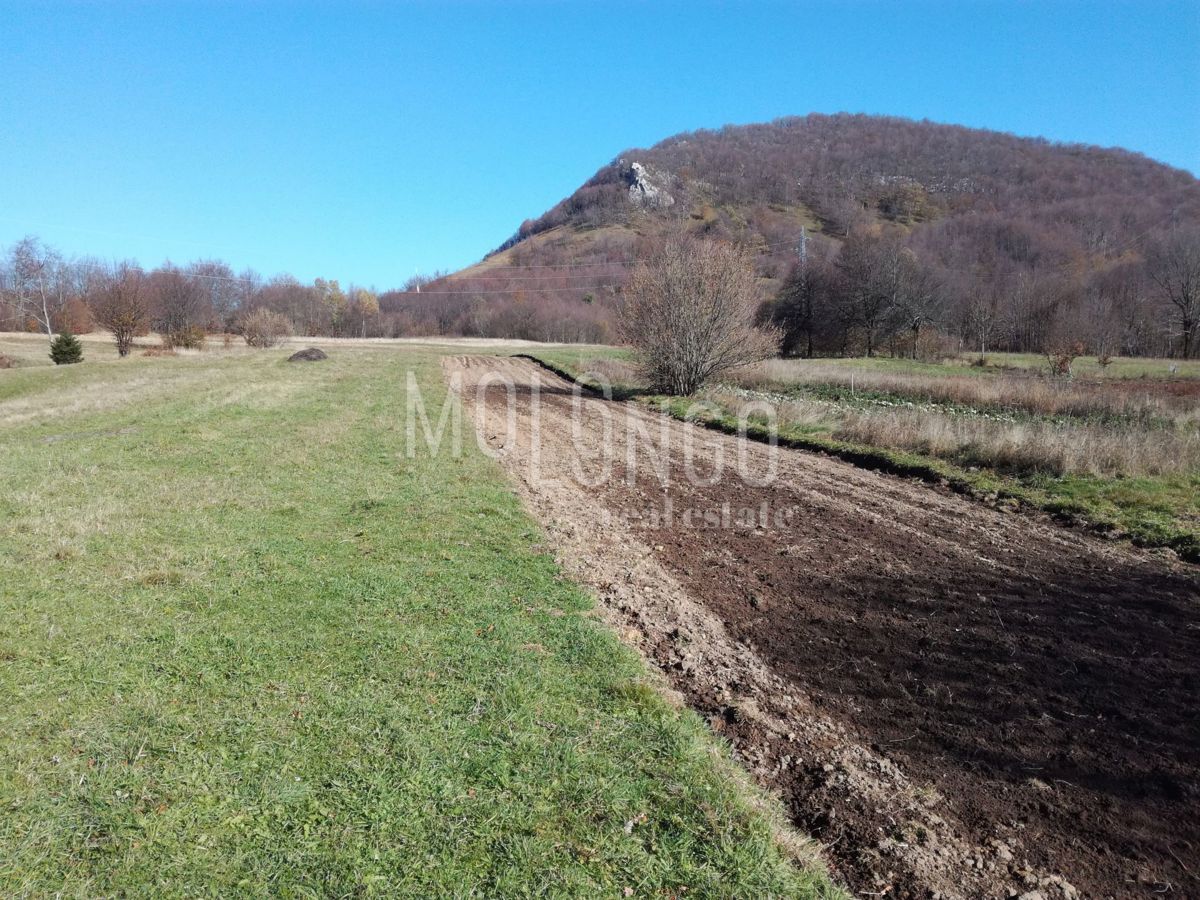 Zemljišče Ogulin, 5.008m2