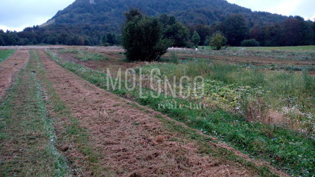 Zemljišče Ogulin, 5.008m2