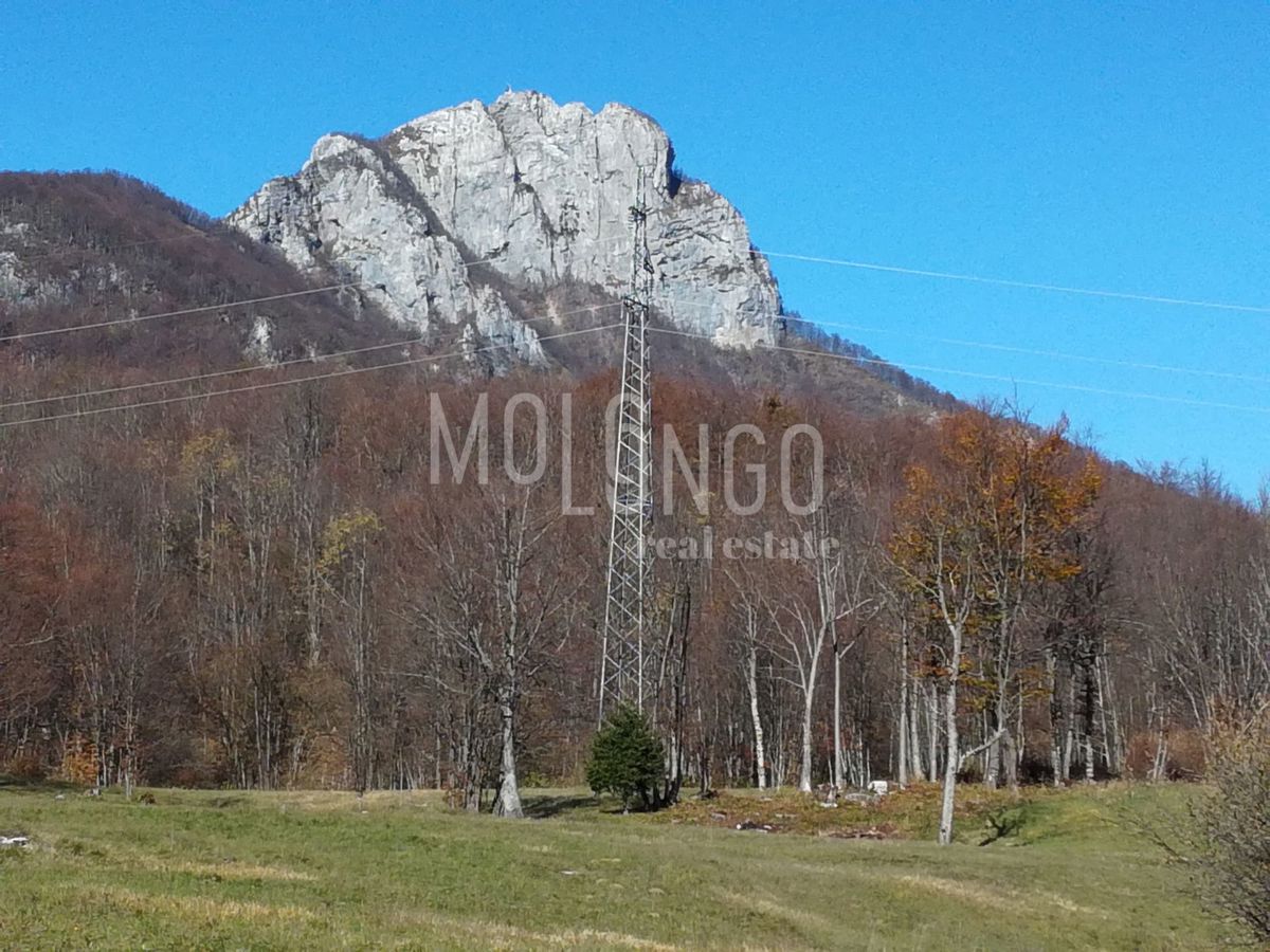 Zemljišče Ogulin, 5.008m2