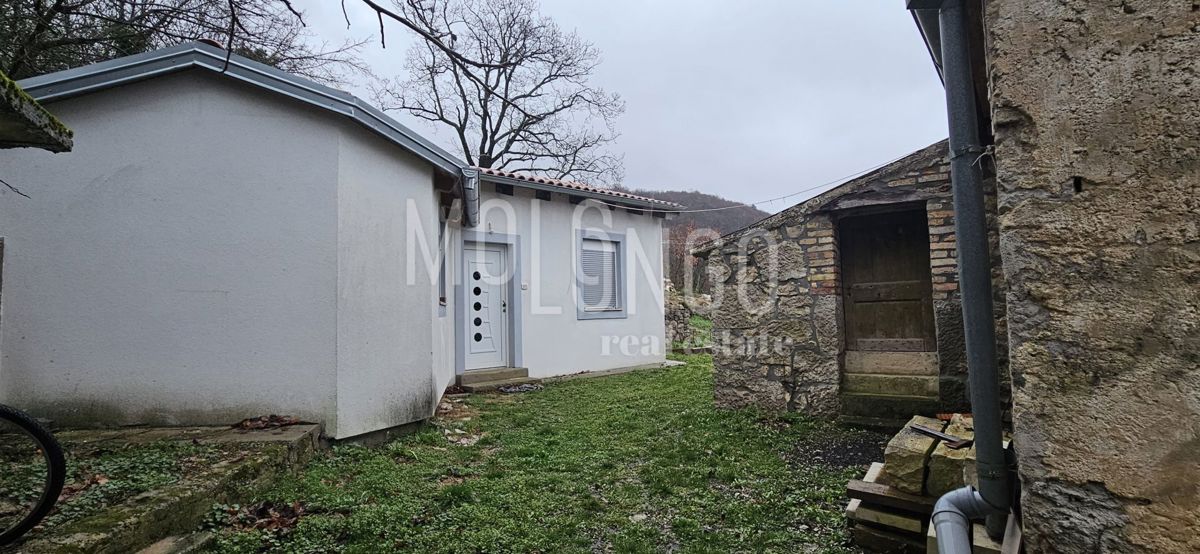 ISTRA, LUPOGLAV - dve hiši naprodaj!