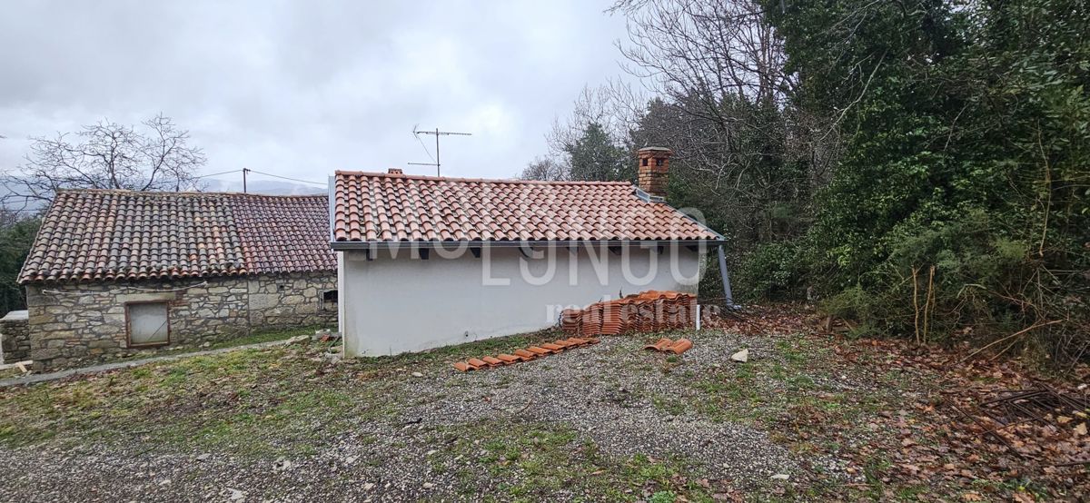 ISTRA, LUPOGLAV - dve hiši naprodaj!