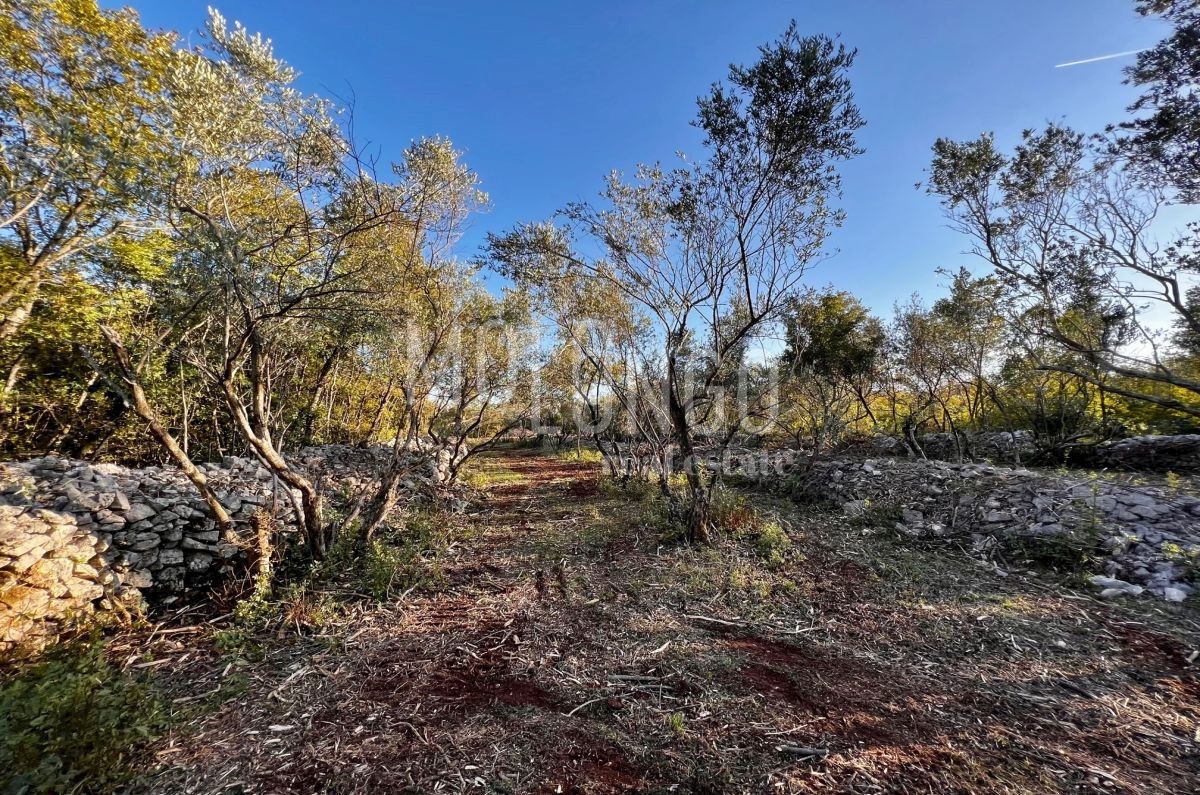 Zemljišče Vrbnik, 484m2