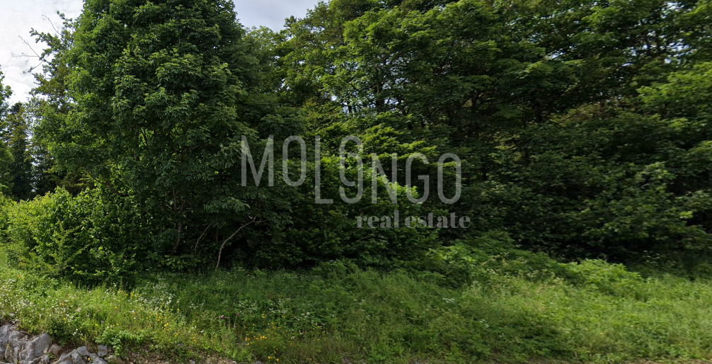 Zemljišče Delnice, 1.380m2