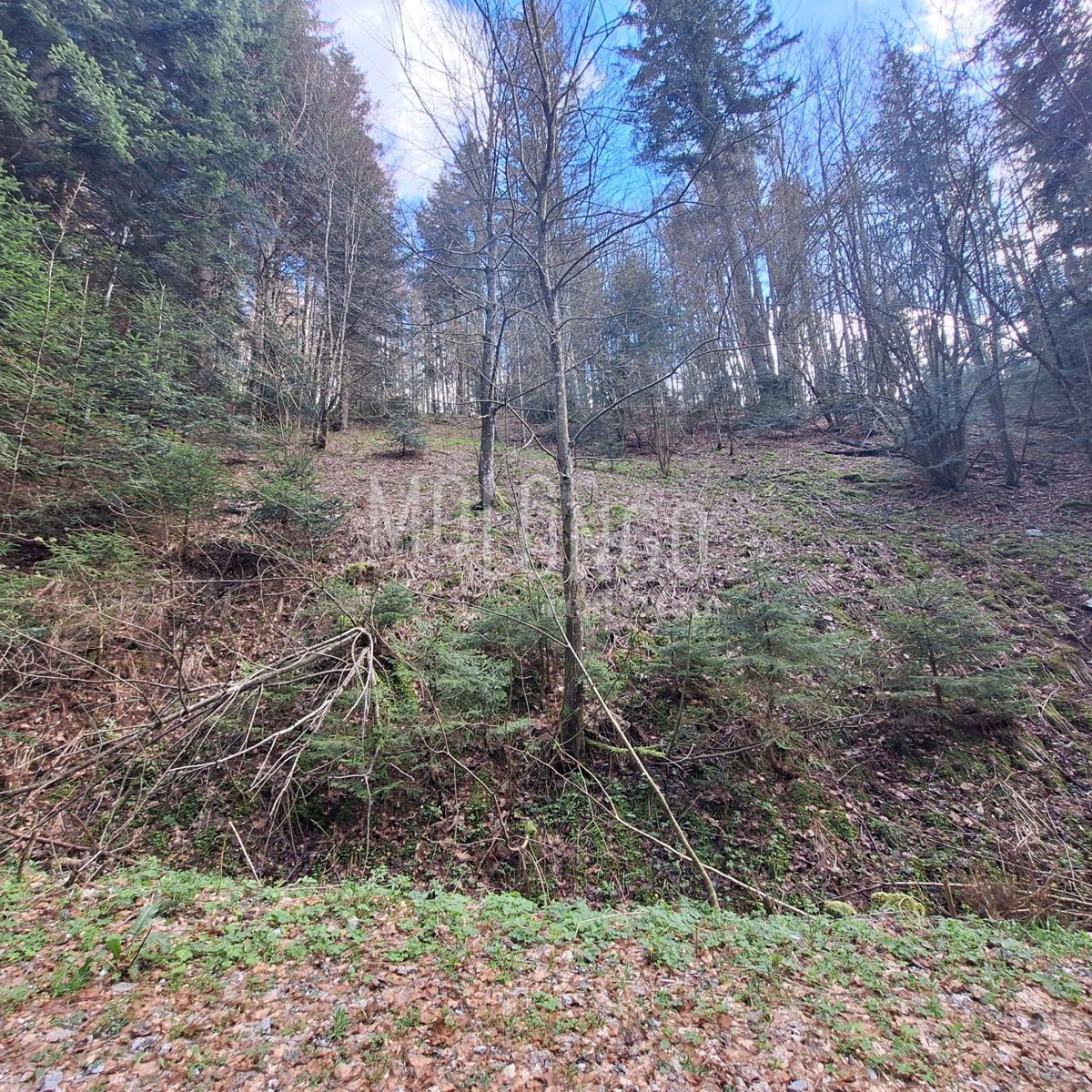 Zemljišče Mrkopalj, 2.709m2
