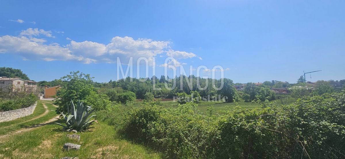 Zemljišče Jakovici, Tinjan, 500m2