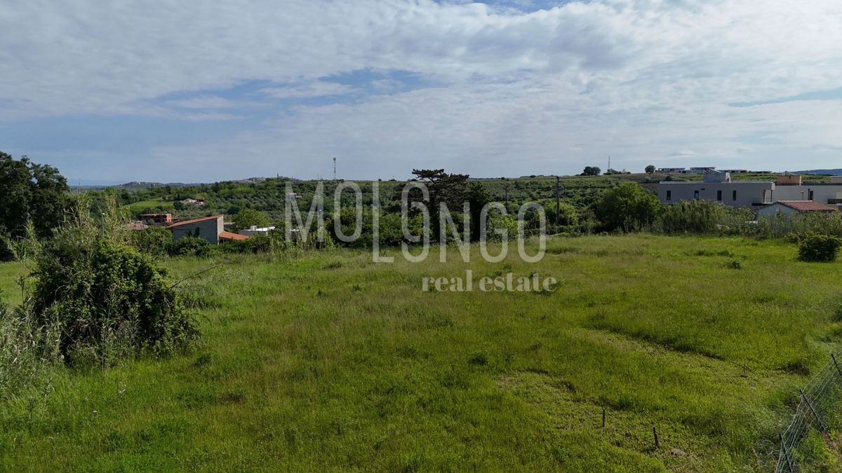ISTRA, BRTONIGLA – Stavbno zemljišče 881 m²
