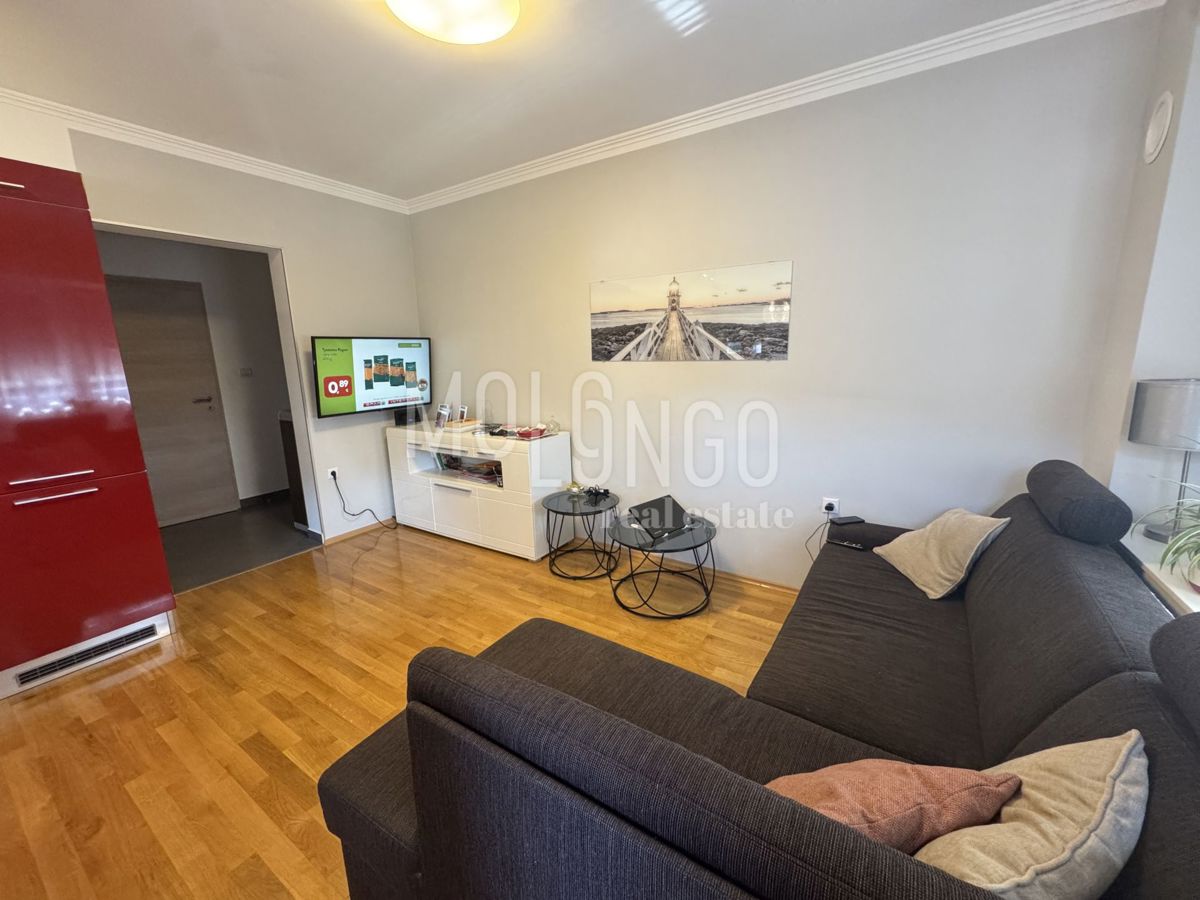 Stanovanje/apartma Mladenići, Viškovo, 49m2